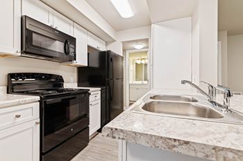 Sleek black appliances*